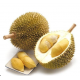 Frozen Durian Robben Vietnam （about 4.5-5lb）